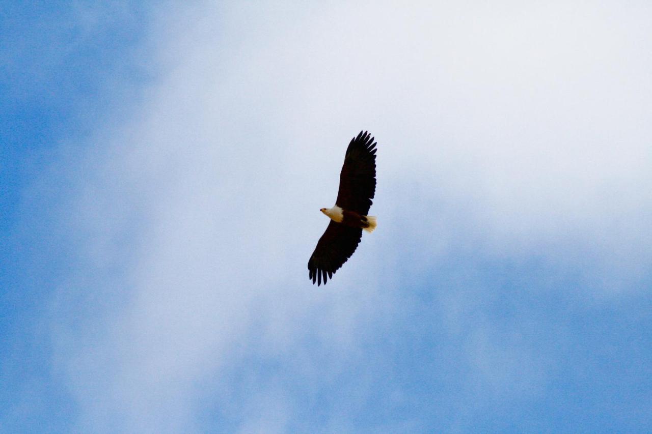 Inverdoorn Game Reserve Lodge Breede River Bagian luar foto