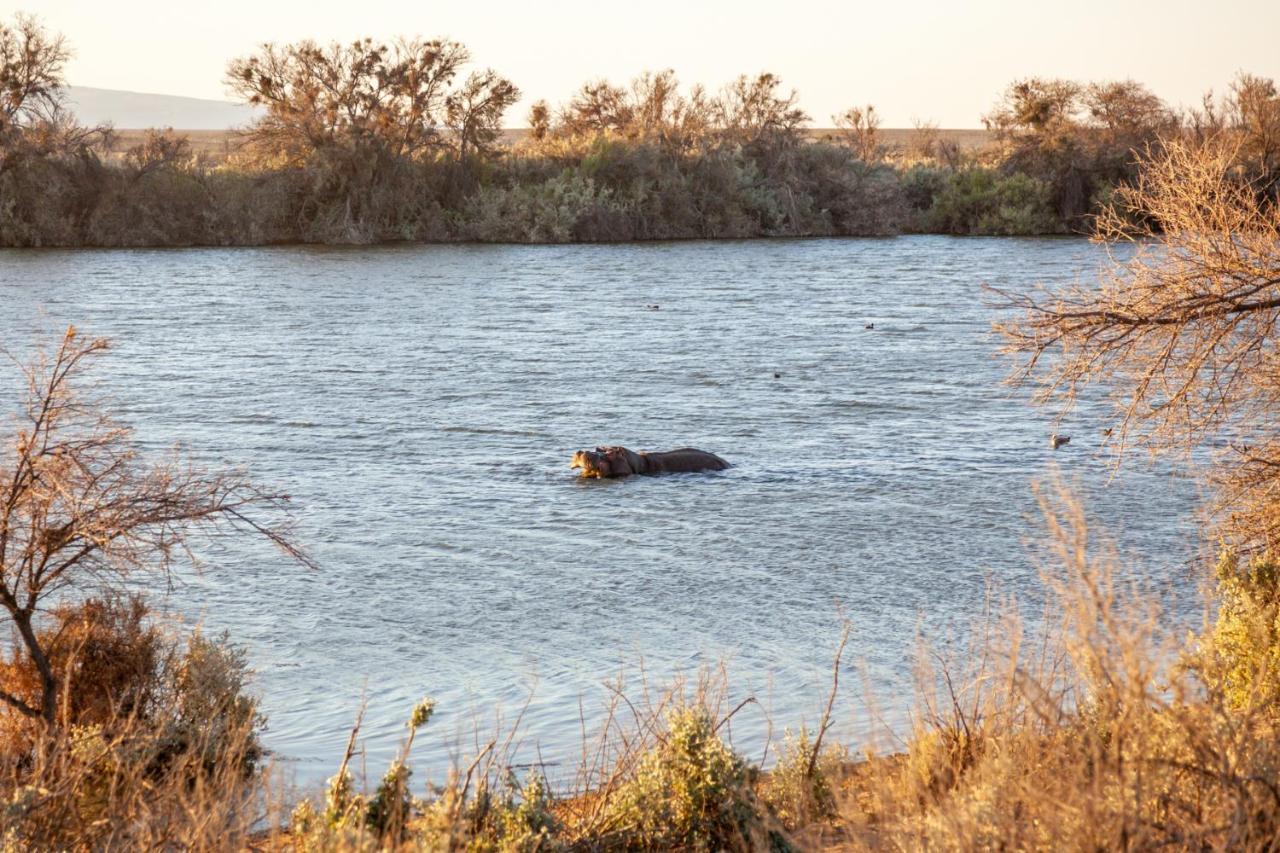 Inverdoorn Game Reserve Lodge Breede River Bagian luar foto