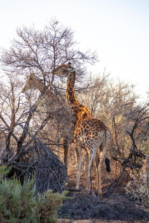 Inverdoorn Game Reserve Lodge Breede River Bagian luar foto