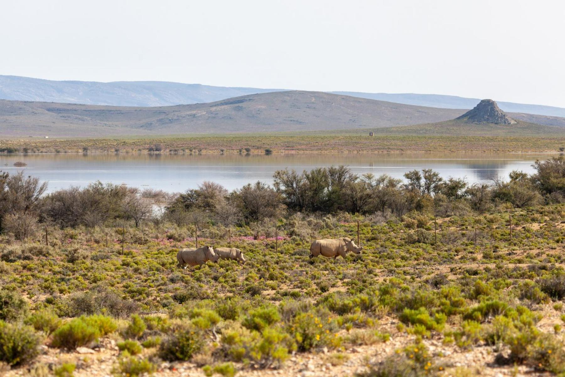 Inverdoorn Game Reserve Lodge Breede River Bagian luar foto