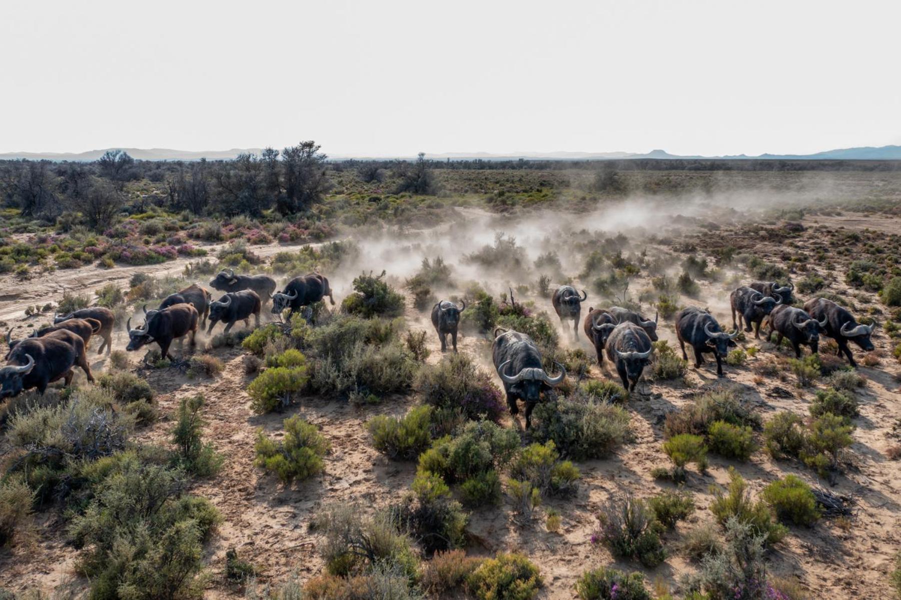 Inverdoorn Game Reserve Lodge Breede River Bagian luar foto